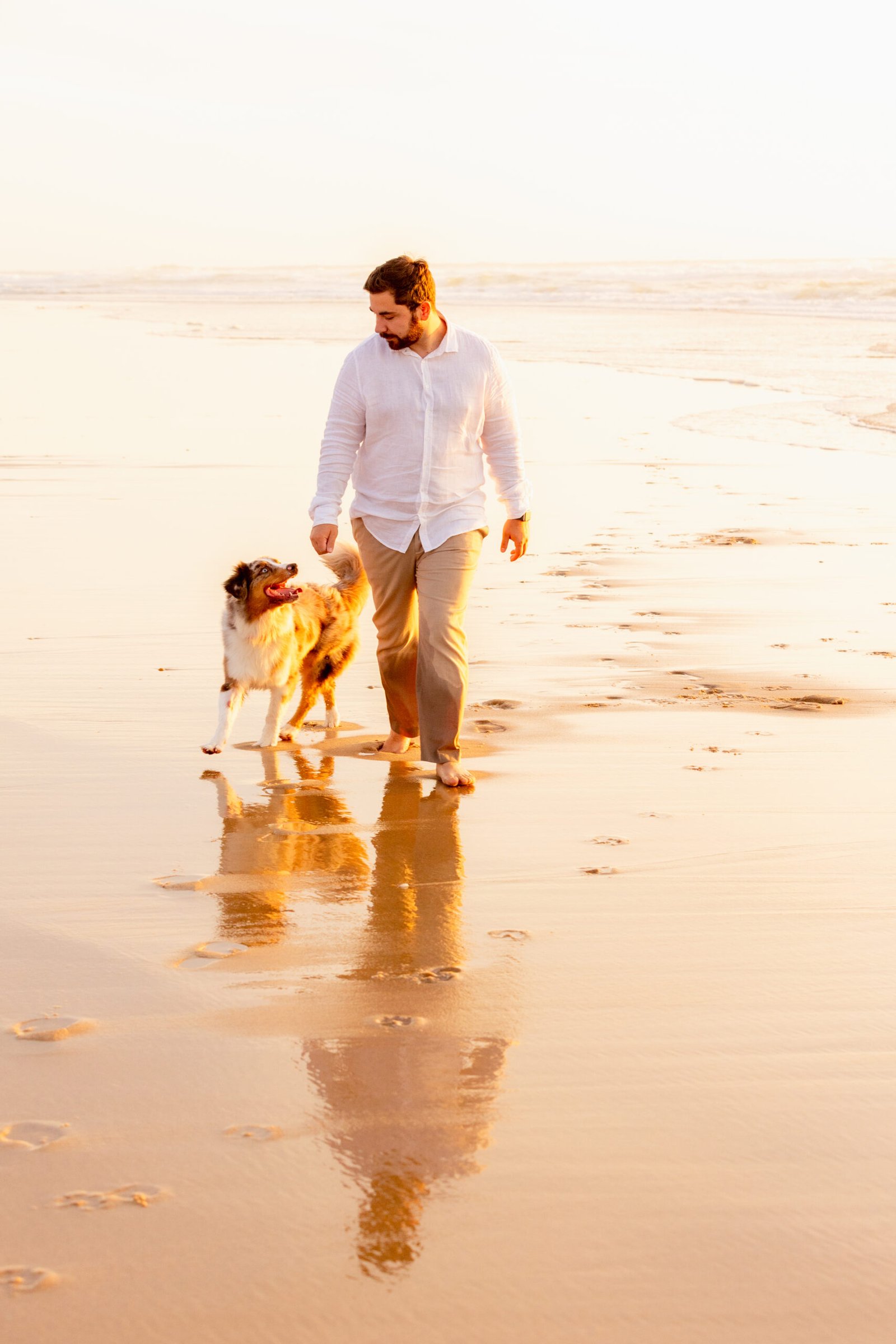 Photographe chien Arcachon