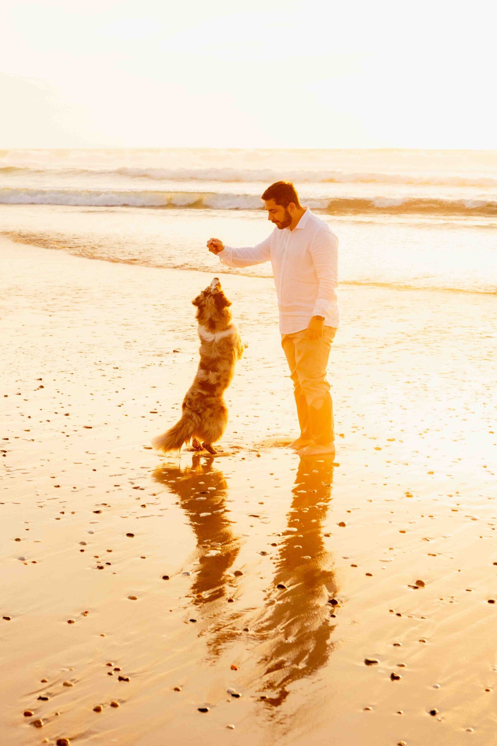 Shooting plage chien Bordeaux