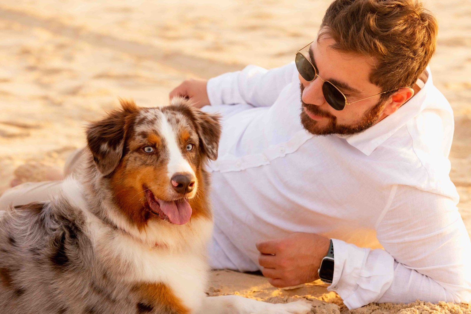 shooting photos chien plage Bordeaux